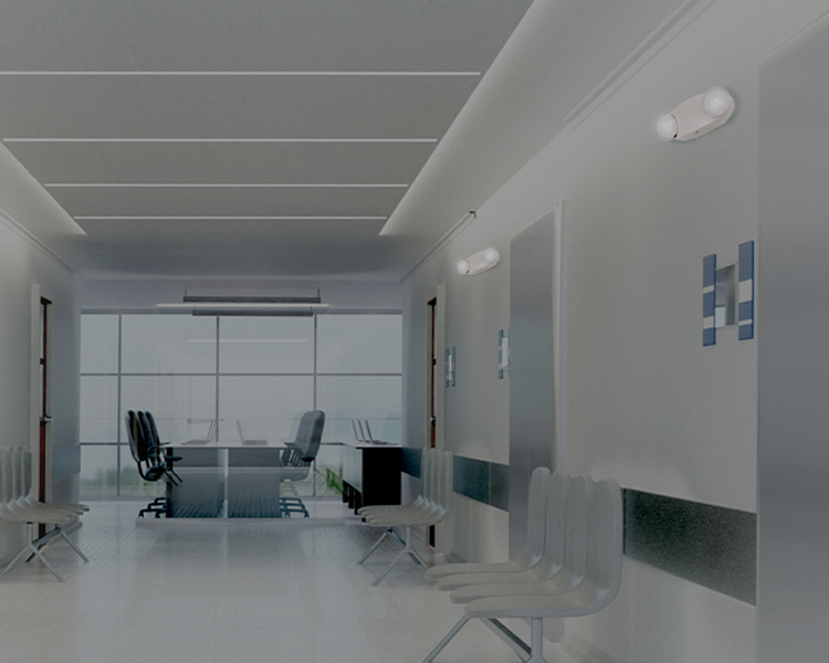 应急照​​明灯具：<br/><span>安全保障的关键</span>