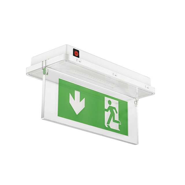 Ultra Slim Recessed Emergency Light 80lm IP65