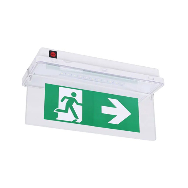 Ultra Slim Recessed Emergency Light 80lm IP65