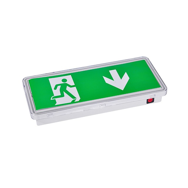 Slim Emergency Light 160lm 0.3s Activation