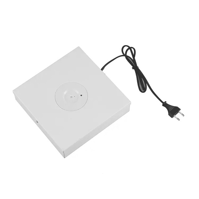 Emergency LED Down Light