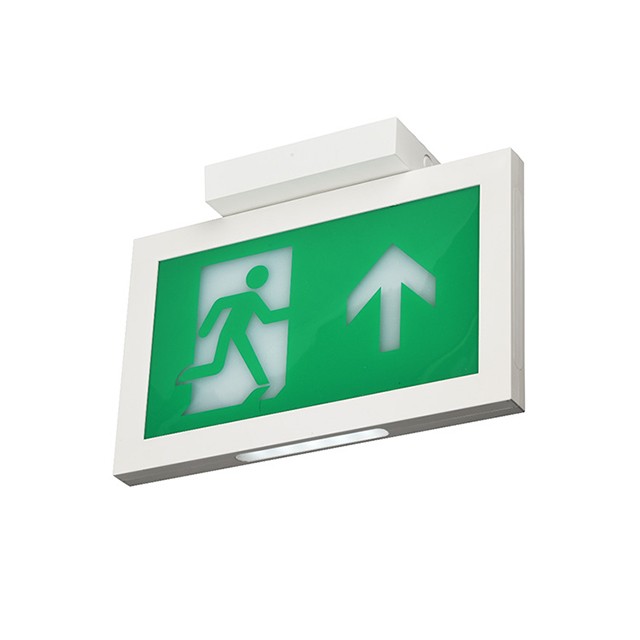 Ceiling Mounted Doubl Face Exit Signs