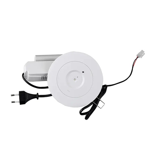 Emergency LED Down Light