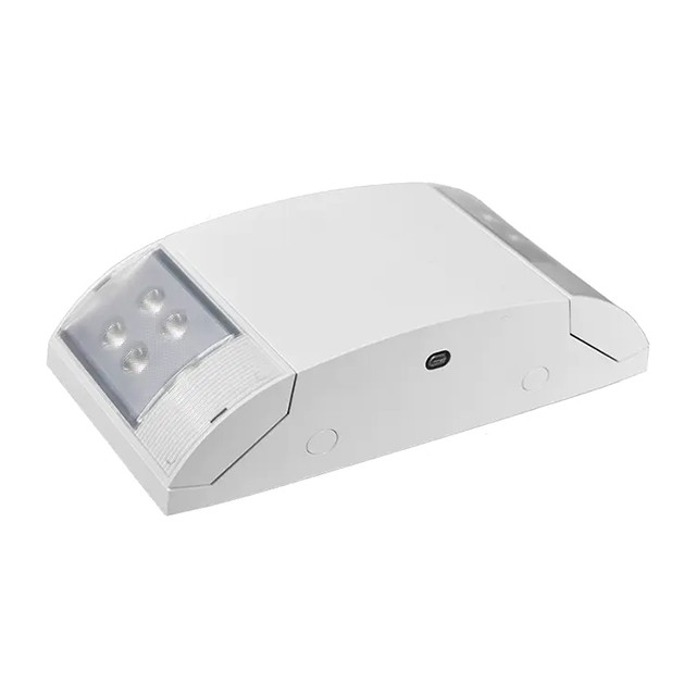 Adjustable Dual Head Emergency Light