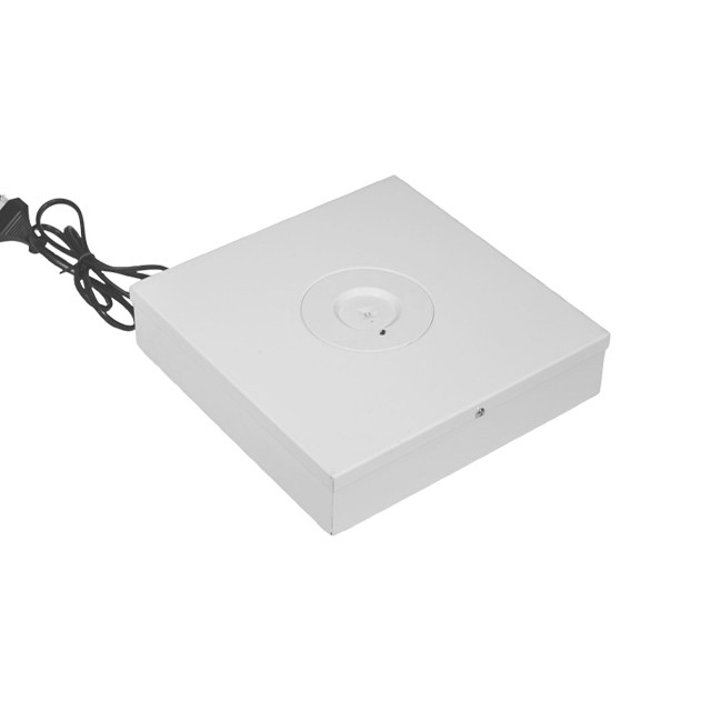 Emergency LED Down Light