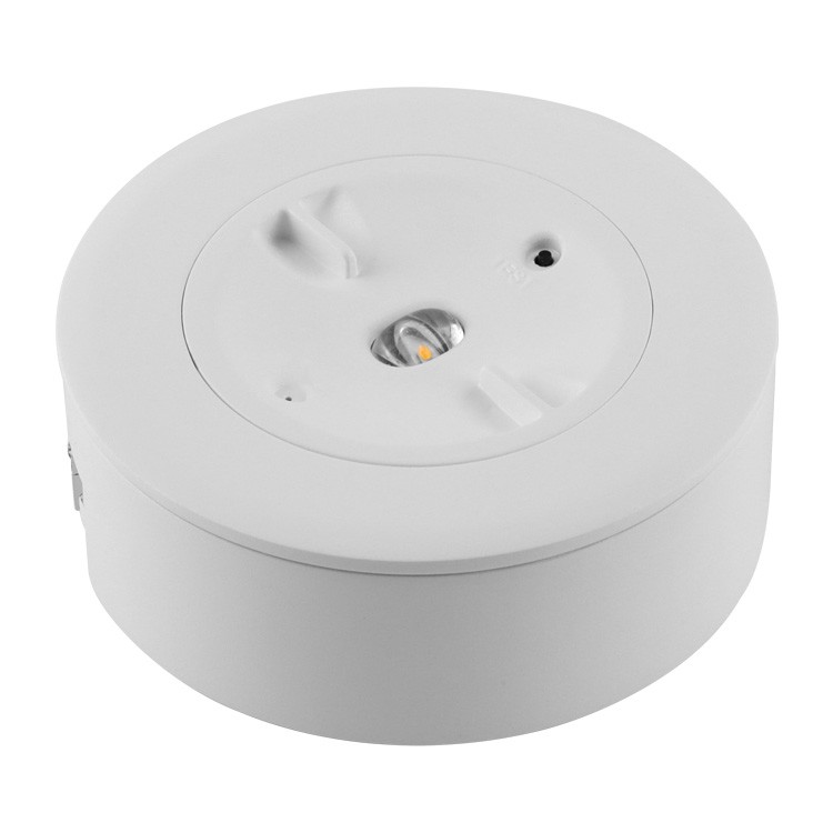 Brand New Plastic Housing LED Emergency Down Light
